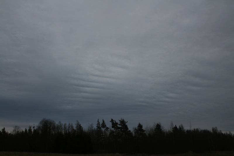 Pilved Keskkonnaportaal